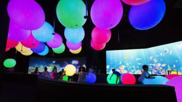 LED Balon Sanat Müzesi – Çocuklar İçin Etkileşimli Oyunlar