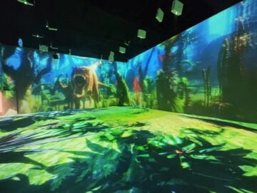 Immersive ve Interaktif Mekân Çözümleri – Dijital Deneyim Tasarımı