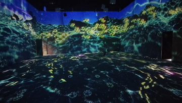 Immersive ve Interaktif Mekân Çözümleri – Dijital Deneyim Tasarımı